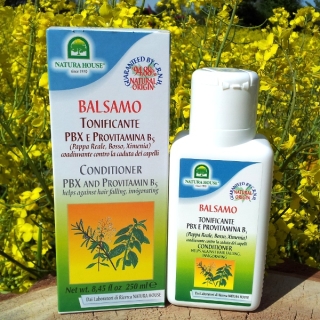 Gelee Royal & Buchsbaum Shampoo (250 ml) - Provitamin B5