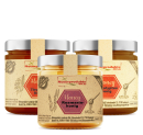 Honig Paket 5: Rosmarinhonig (500g), Thymianhonig...