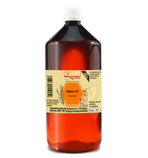 Betain HT Waschtensid (1000 ml)