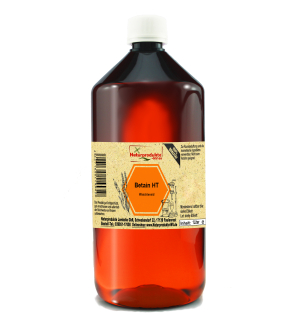 Betain HT Waschtensid (1000 ml)