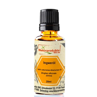 Ingweröl (20 ml) 100% naturreines ätherisches Ingwer  Öl