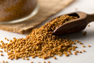 Bockshornklee-Saat ganz (1kg) Bockshornkleesamen