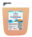Orangenkraft-Reinigungskonzentrat 5 Liter